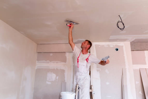 Shingle Springs, CA Dry wall and painting Company